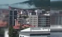 İstanbul Pendik Aydos Ormanı'nda yangın
