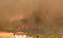 Adıyaman’da çıkan orman yangınına müdahale sürüyor!