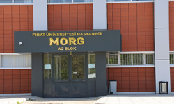 Alacak verecek kavgası kanlı bitti: Kuzenini araç içinde infaz etti