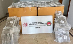 Mersin Limanı'nda 587 kilogram esrar yakalandı