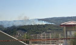 Hatay'da çıkan orman yangını kontrol altına alındı