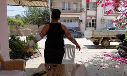 Hatay’da sahipsiz köpek 10 yaşındaki çocuğu yaraladı