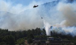 İzmir'de orman yangını çıkaran sanığa hapis istemi