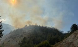 Karabük ve Denizli'de orman yangını: Müdahale ediliyor