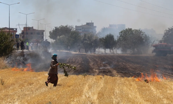 Çanakkale'de otluk alanda çıkan yangında son durum
