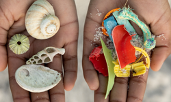Mikroplastik tehlikesi büyüyor! Cenevre’de tarihi görüşme