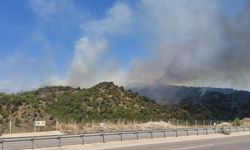Tokat'ta orman yangını
