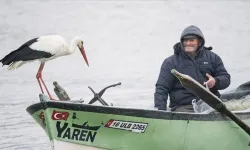 Yaren leylek depremi önceden hissetti