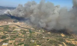Çanakkale'de 4 köyün etkilendiği orman yangınını çıkaranlar belli oldu