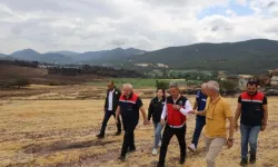 Bilecik'te yangın bölgesinde çalışmalar devam ediyor