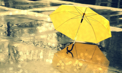 Rüyada şemsiye görmek ne demek?  Rüyada şemsiye görmenin psikolojik anlamları...