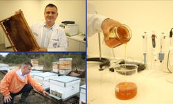 Borla üretilen doğal solüsyon arıları öldüren zararlıları yok ediyor