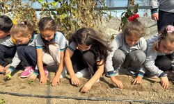 Okul bahçesindeki serada çocuklara uygulamalı tarım eğitimi veriliyor
