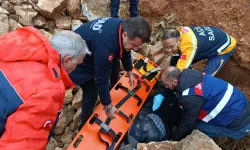 Kaybolan 75 yaşındaki Alzheimer hastası bulundu