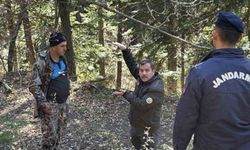 Mantar toplamaya gidip kaybolmuştu: Yaşlı adamdan acı haber...
