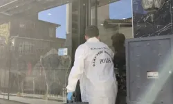 Böcek ailesinin yediği yiyecekler analiz edildi