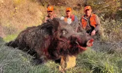 Tekirdağ'da avcıları şaşırtan av: Kilosuna inanamadılar!