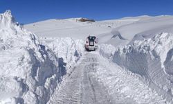 Şırnak’ta kar mesaisi erken başladı