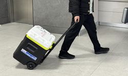 Yeni yapay zeka aracı, organ nakli için harcanan çabayı yüzde 60 oranında azaltabilir