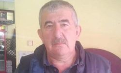 Mantar toplarken kaybolan yaşlı adam ölü bulundu