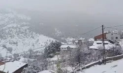 Sivas'ta lapa lapa kar yağdı