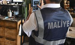 10 ayda yaklaşık 50 bin mükellef incelendi