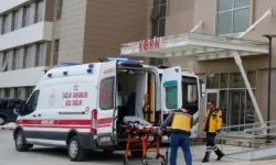 Erzincan'da üzüm bağında çalışan vatandaşa ayı saldırısı