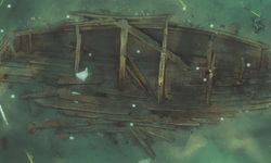 Güney Kore'nin batı kıyısında 600 yıllık kargo gemisi gün yüzüne çıkarıldı