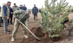 Erzurum'da şehit arkadaşının hatırasına ağaç diktiler