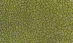 İstanbul'da kuraklığın izleri havadan görüntülendi