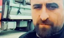 Artvin'de üzerine ağaç devrilen işçi can verdi