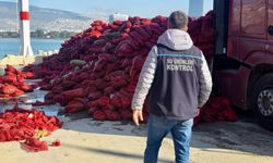 İzmir'de kaçak avlanan 27 ton midye ele geçirildi