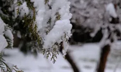 Yozgat'ta mevsimin ilk karı düştü