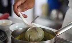 Kontrolsüz toplanan bitkiler ve sağlıksız toplu yemekler zehirlenme riskini artırıyor