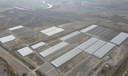 Doğu Anadolu'nun en büyük toplu sera alanı kuruluyor