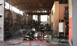 Kocaeli'de kozmetik fabrikasında çıkan yangında ölü sayısı 7'ye yükseldi