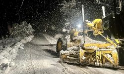 Ordu-Sivas kara yolu ulaşıma açıldı