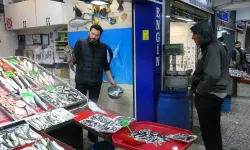 Çanakkale'de hamsi bolluğu