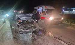 Kontrolünü kaybeden kamyonet önce ağaca çarptı ardından evin bahçesine girdi