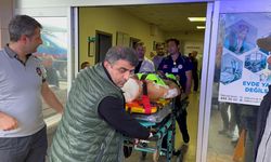 Mantar toplarken ayı saldırısına uğrayan köy imamı yaralandı