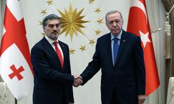 Cumhurbaşkanı Erdoğan, Gürcistan Cumhurbaşkanı Kavelashvili ile telefonda görüştü