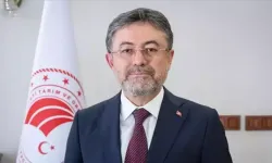 Orman Genel Müdürlüğüne sözleşmeli personel alınacak