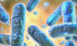 Bilim insanları yaşlanmayı yavaşlatan özel bağışıklık hücresi keşfetti