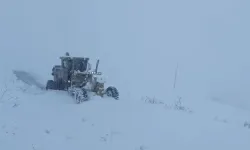 Hakkari'de kar köy yollarını kapattı