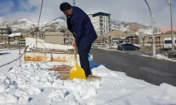 Van'da kar yağışı etkili oldu
