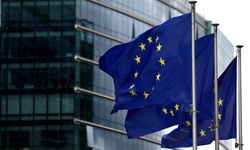 AB Komisyonu, Türkiye ekonomisinin dirençli kalmaya devam edeceğini öngördü