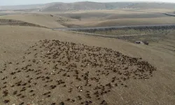 Kars'ta göçerlerin yolculuğu başladı