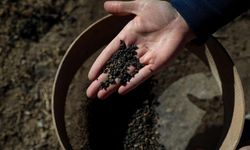 5 bin yıllık arpa taneleri bulundu