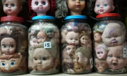 Kocaeli'de yarım asırda oluşturulan koleksiyon tüyler ürpertiyor