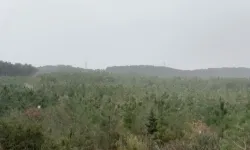 İstanbul'un bazı bölgelerinde kar etkili oluyor